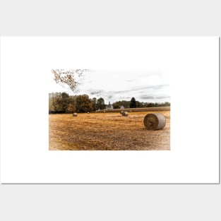 Harvest Time - Hay Bales Posters and Art